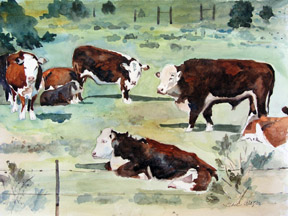 cows_fenced.jpg