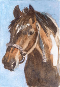 horse_portrait.jpg