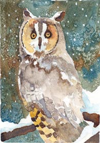 click to order "Owl... Snowy Night"